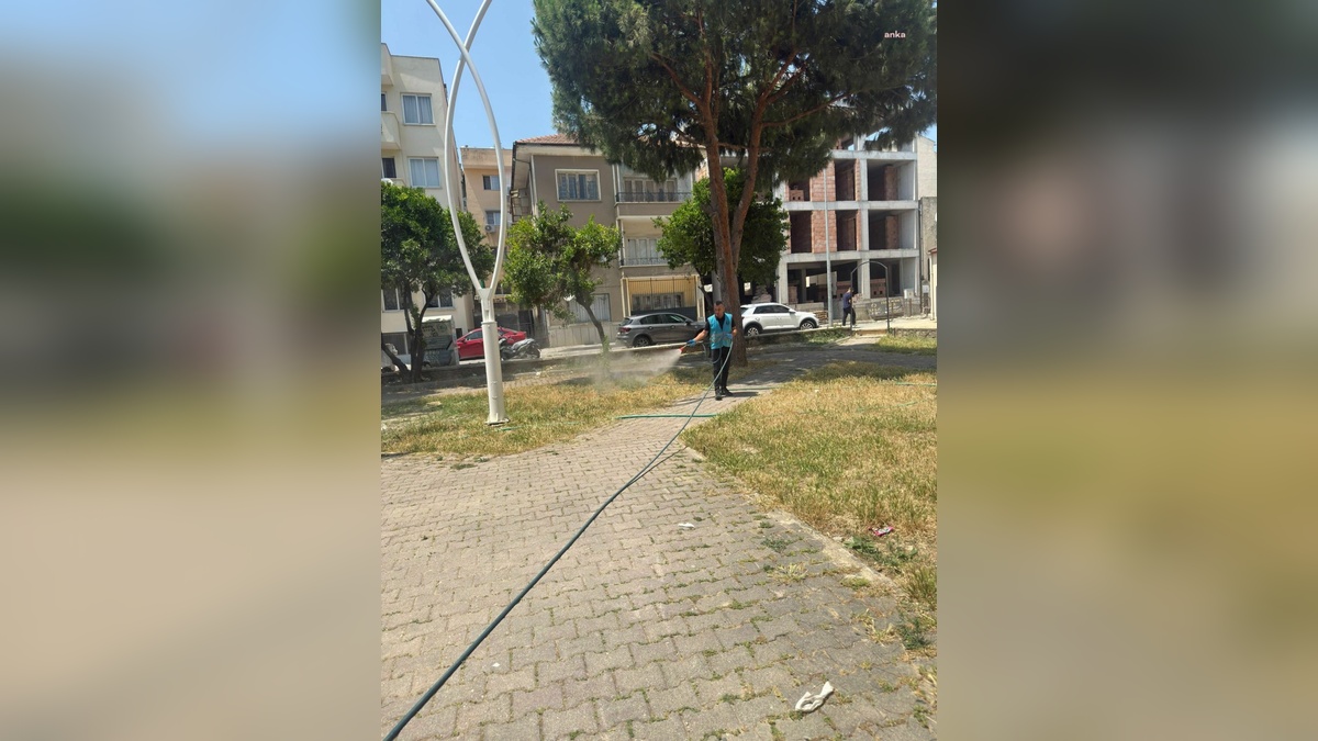 Söke'de kene ve pire ilaçlaması