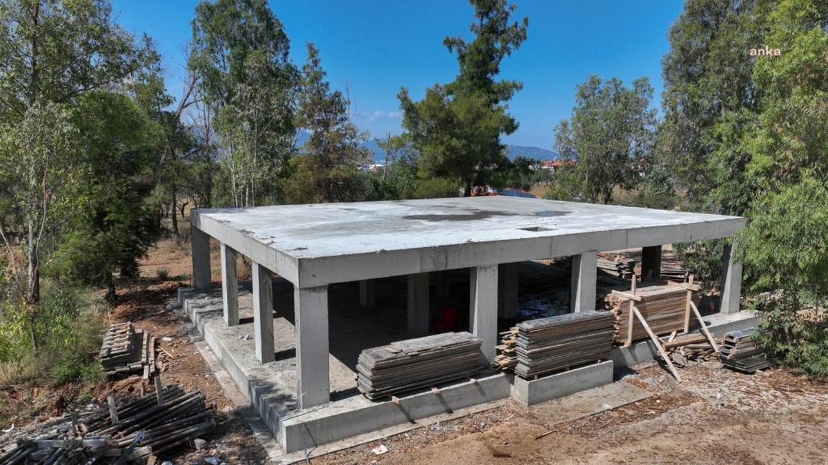 Fethiye'de yeni hayvan bakımevi: 37 dönüm arazi üzerine kuruluyor