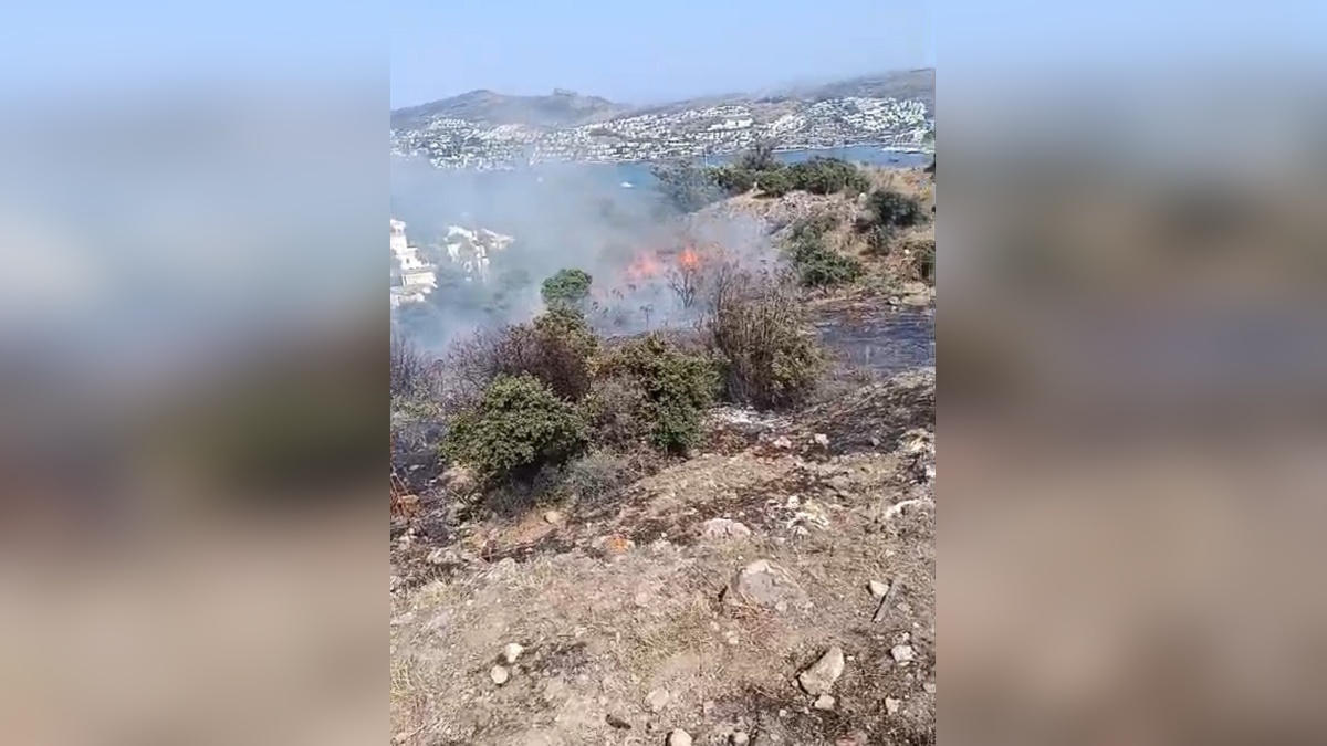 Bodrum'da maki yangını: Havadan ve karadan müdahale sürüyor