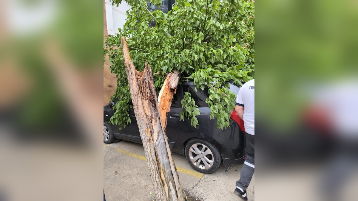 Siirt'te şiddetli rüzgar: Otobüs durağı ve ağaçlar devrildi