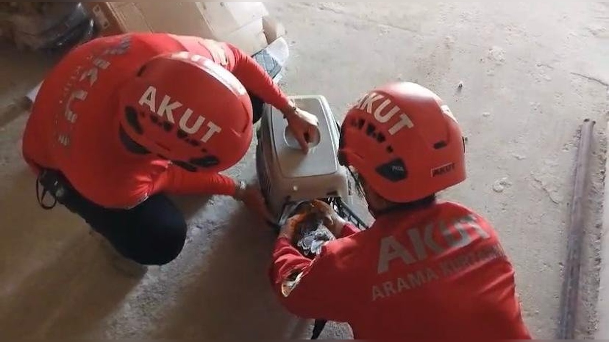 Trabzon'da apartman boşluğunda mahsur kalan martı kurtarıldı