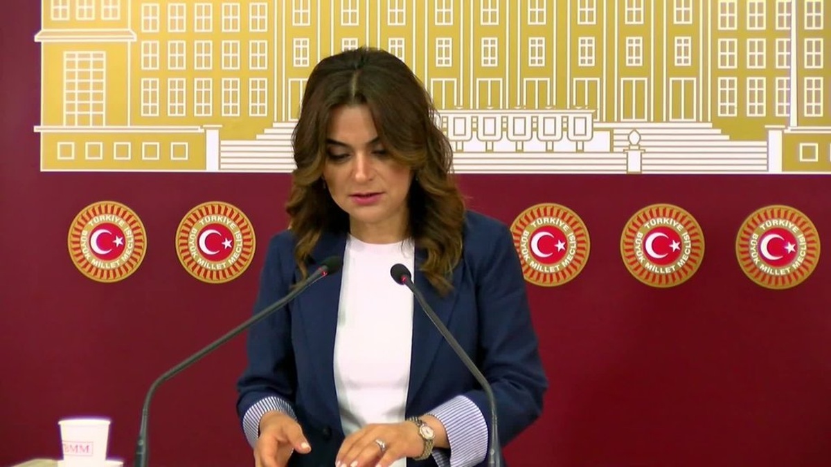 Koçyiğit: Meclis, Kürt sorununun çözümü için adım atmalı