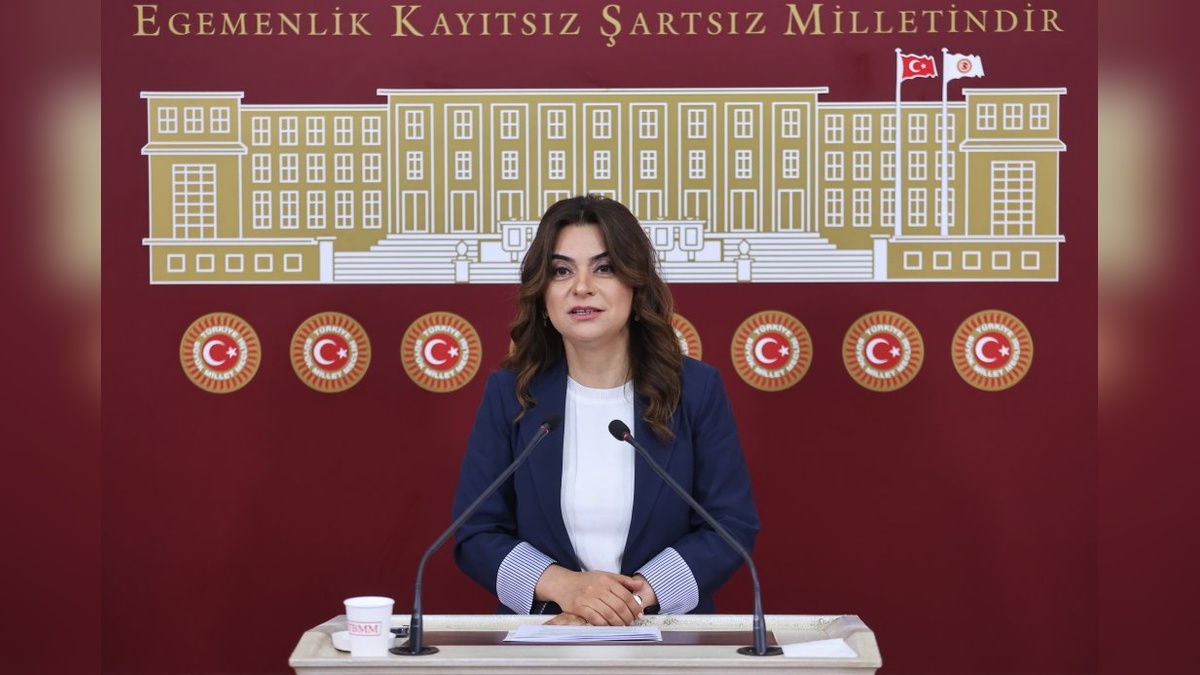 DEM Partili Koçyiğit: Tüm partiler İmralı'ya gitmeli