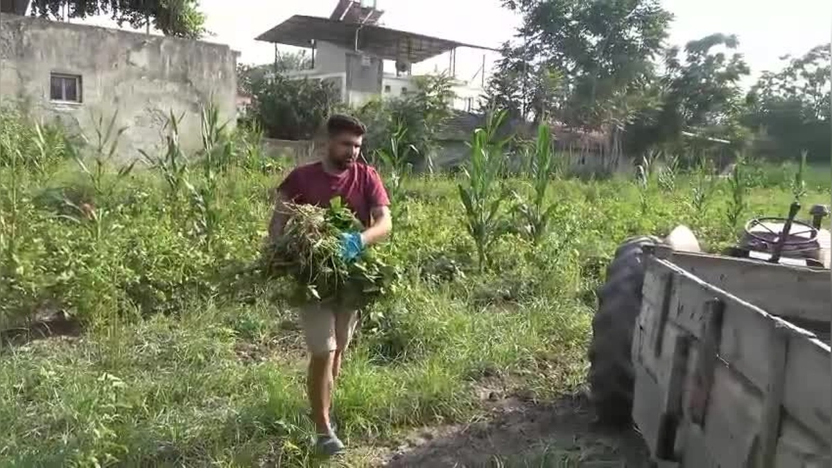 Osmaniye'de çiftçi Zeki Yılmaz: Çiftçilik bitti, bisiklet alamıyoruz