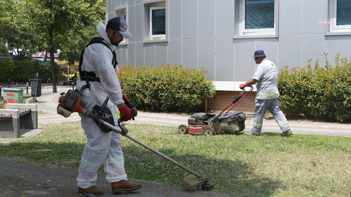 Kartal Belediyesi'nin yaz temizliği: Parklar ve yeşil alanlar bakıma alındı