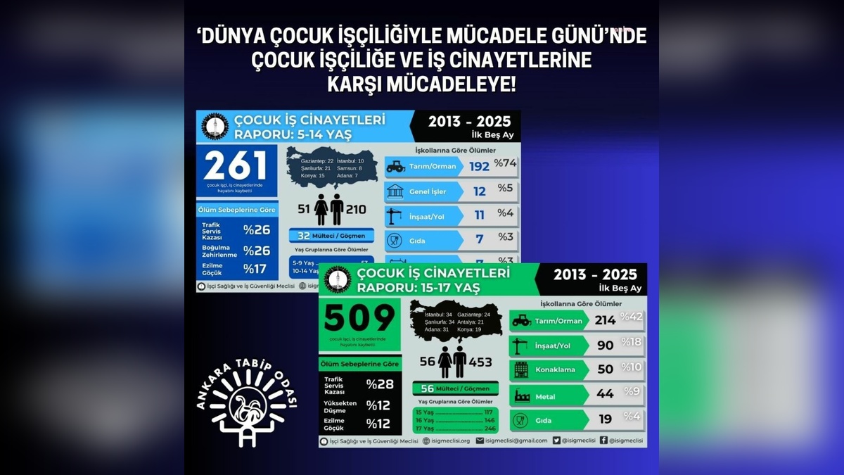 Ankara Tabip Odası: Çocuk işçiliği yasaklanmalı