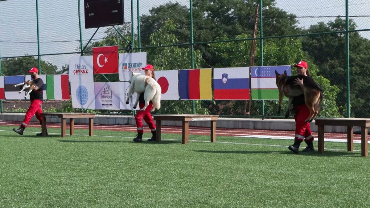 İstanbul'da Dünya Arama Kurtarma Köpekleri Şampiyonası başladı
