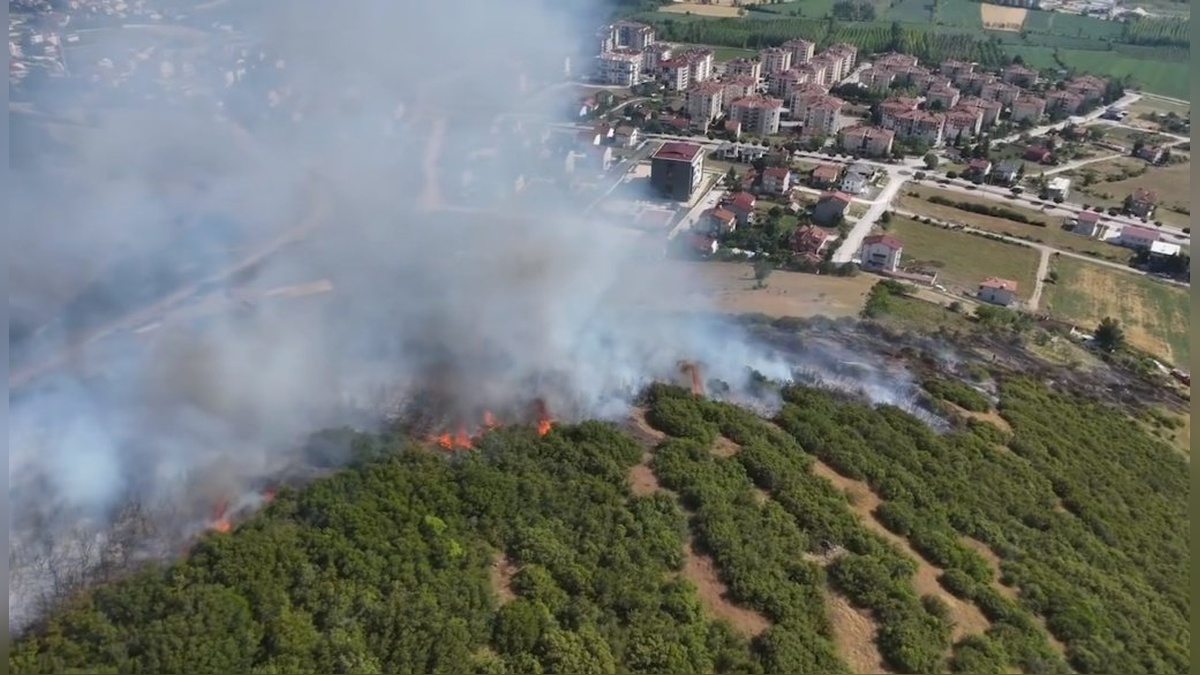 Niksar'da maki yangını: 15 dönüm zarar gördü