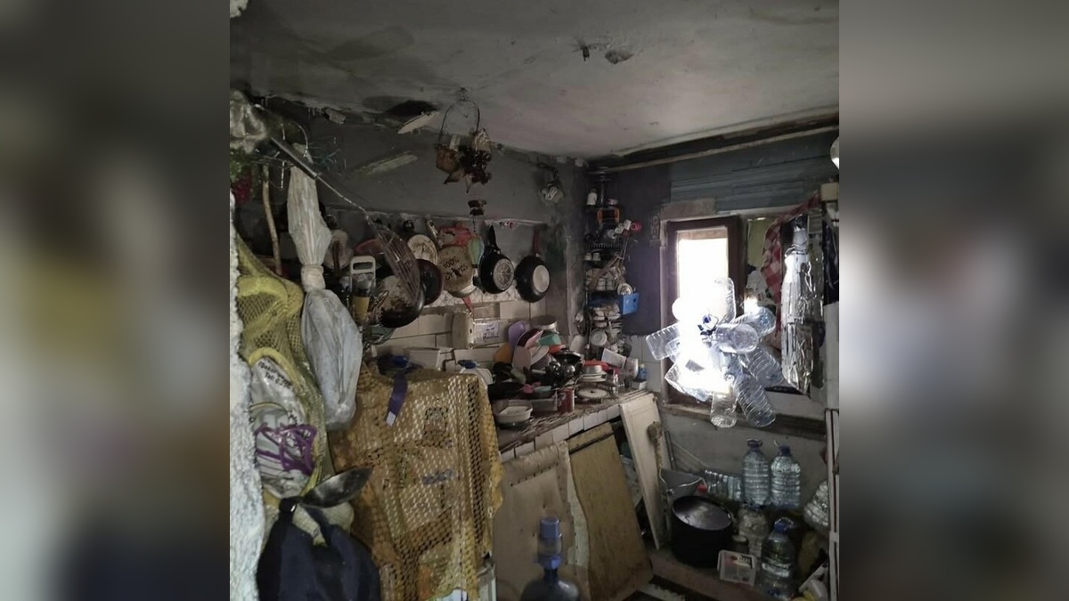 Aydın'da kötü kokulu evden 4 kamyon çöp, 12 kedi ve 3 kaplumbağa çıktı