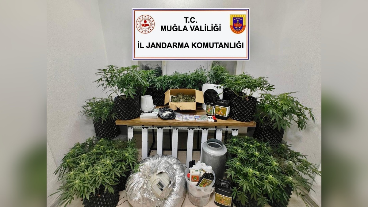 Bodrum'da uyuşturucu operasyonu: 1 şüpheli tutuklandı