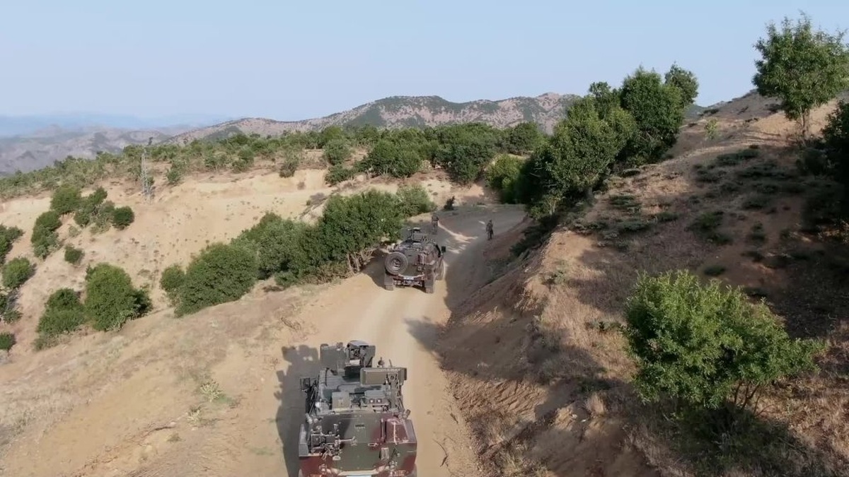 Diyarbakır merkezli uyuşturucu operasyonu: 12 milyon kök hint keneviri ele geçirildi