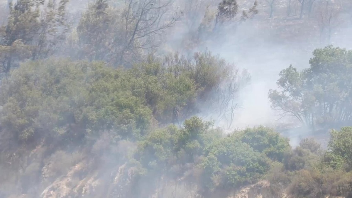 Foça'da orman yangını kontrol altına alındı