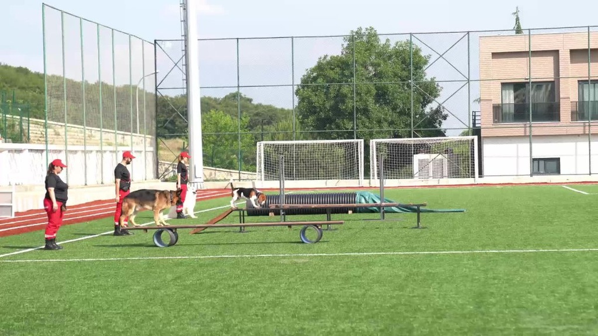 Çekmeköy'de 2025 Dünya Arama Kurtarma Köpekleri Şampiyonası: Romanya ve Japonya şampiyon oldu