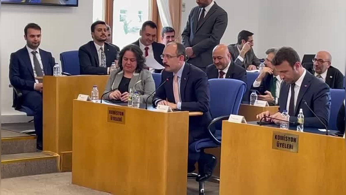 Mehmet Muş, TBMM Plan ve Bütçe Komisyonu Başkanlığı'nda yeniden seçildi