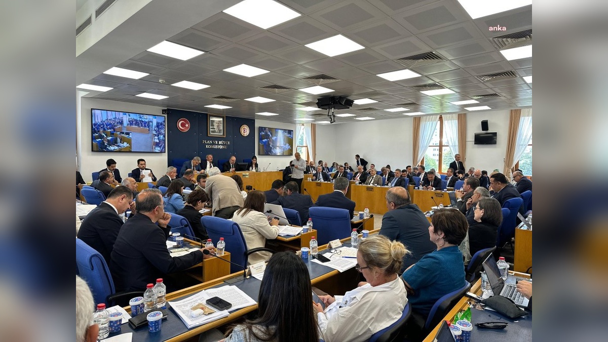 TBMM'den Zeytinliklere İlişkin Kanun Teklifi: 23-24 Bin Zeytin Ağacı Taşınacak