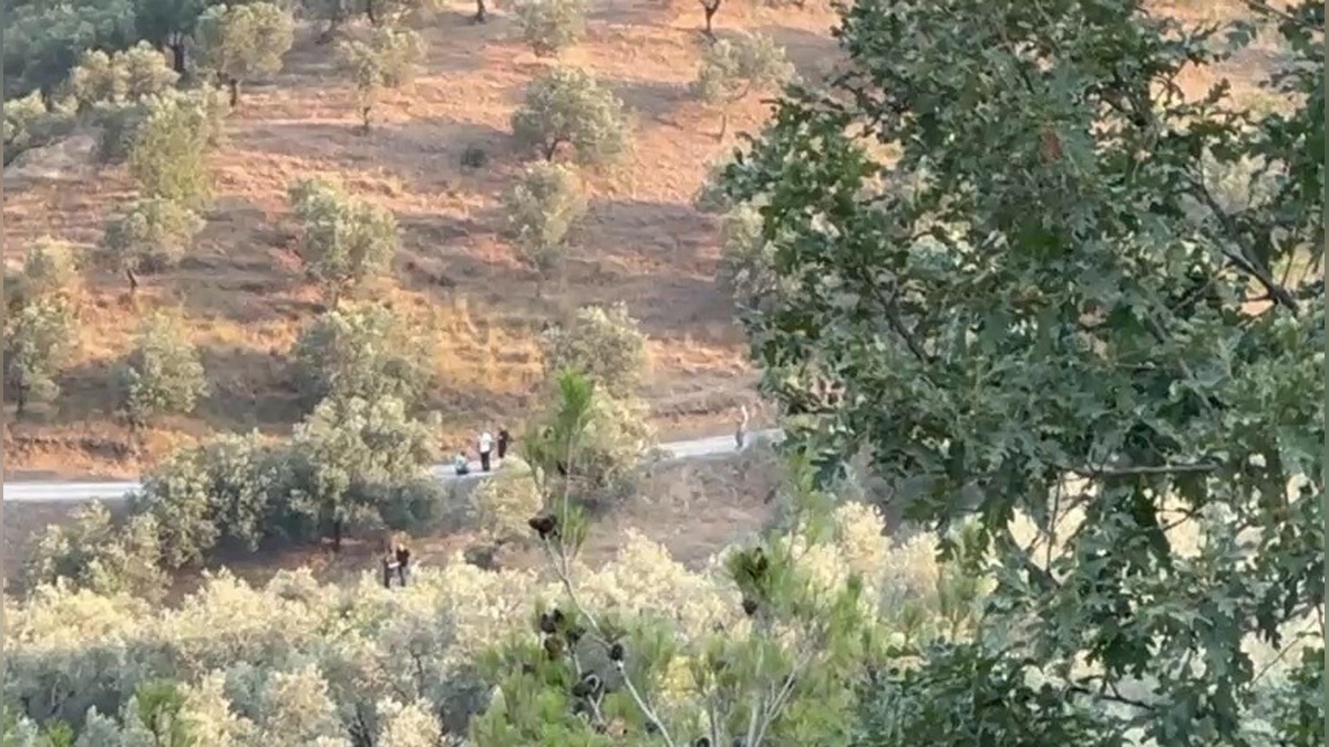Balıkesir'de jandarma, Ekrem İmamoğlu'nun babasına ait arazide arama yaptı