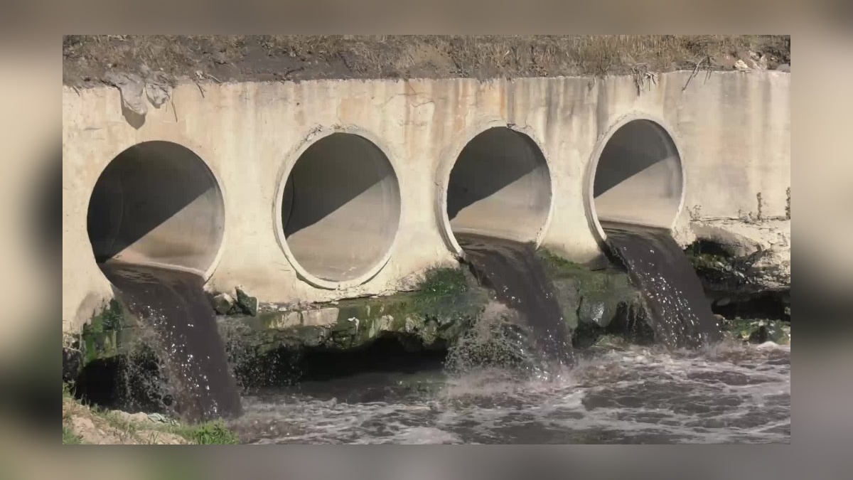 Tekirdağ'ın Sağlık Mahallesi'nde Ergene Nehri'nin kirliliği: 'Kanser saçıyor'