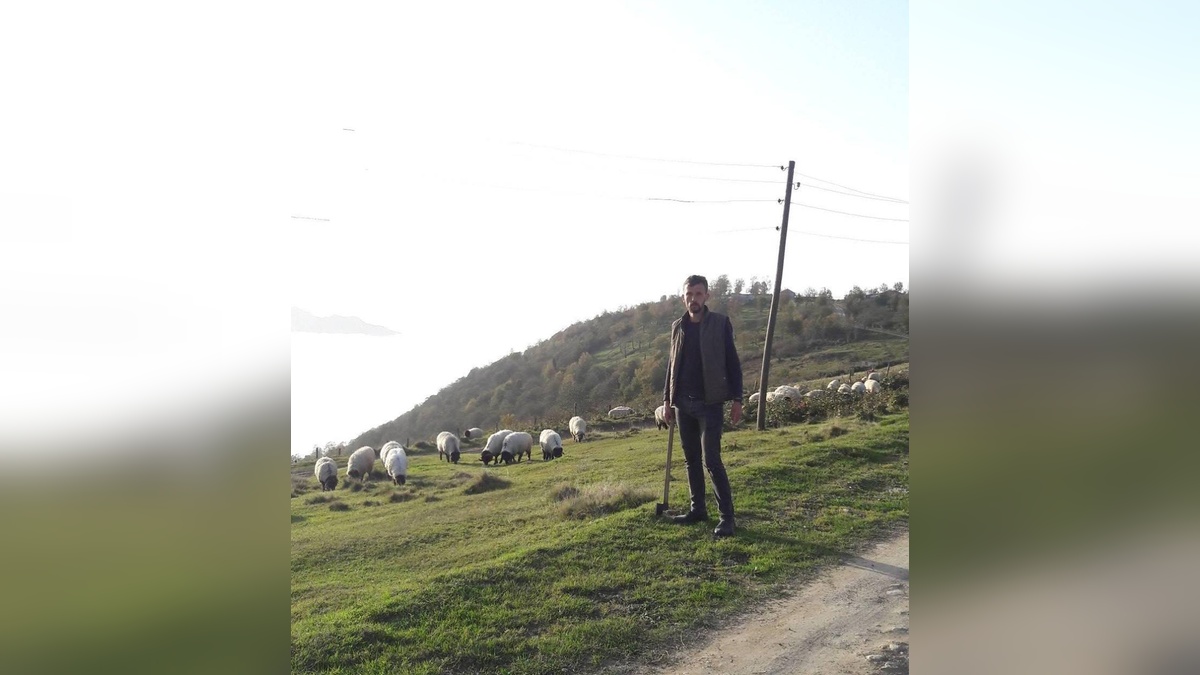 Gümüşhane'de kene ısırması: Çoban Alaattin Uzuntürk hayatını kaybetti