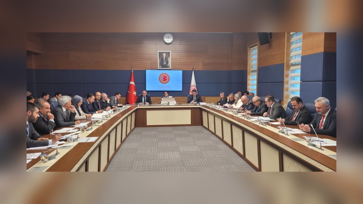 TBMM İnsan Hakları Komisyonu 5 alt komisyon kurdu