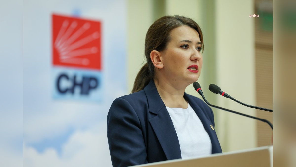 Gökçe Gökçen: RTÜK, özgür basını susturmaya çalışıyor