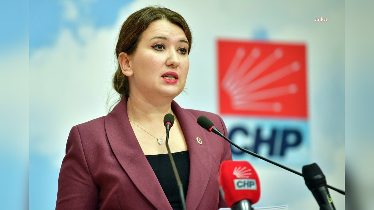 Gökçe Gökçen: CHP kurultayına leke düşürülmeye çalışılıyor