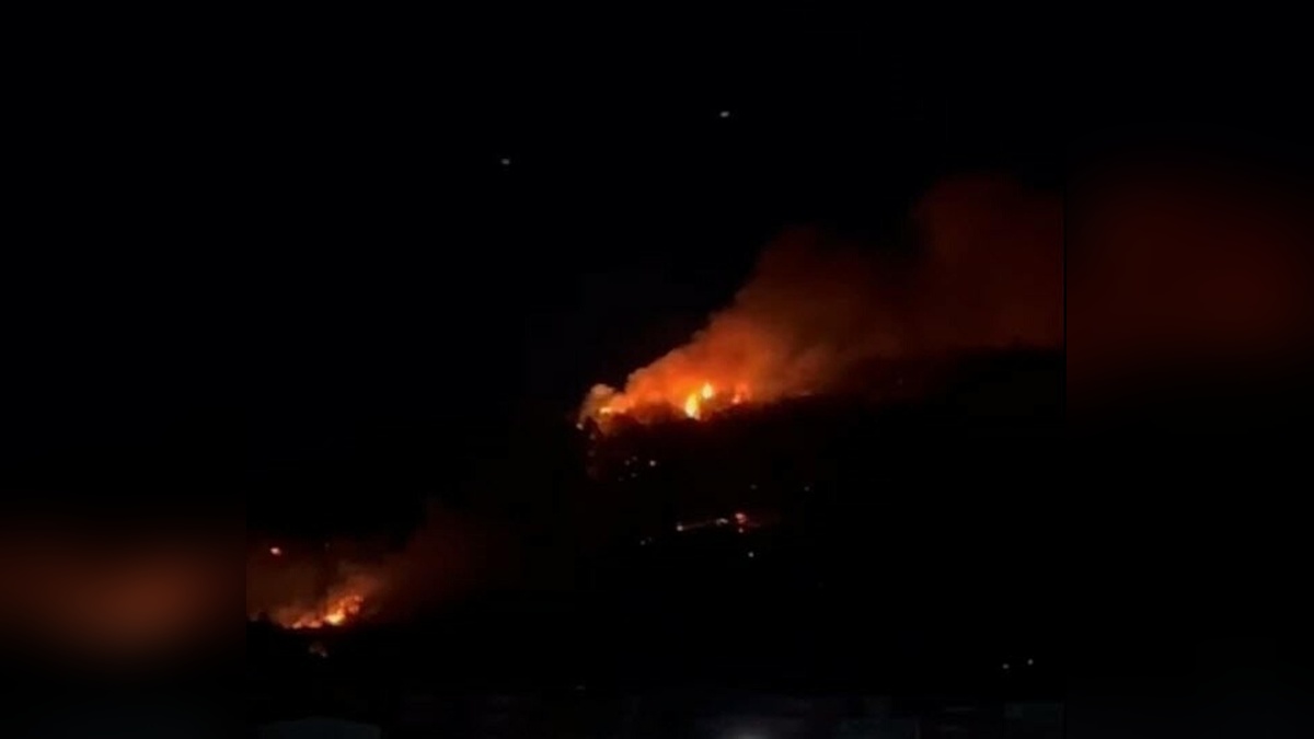 Aliağa'da orman yangını: 10-15 ev yandı, köy boşaltıldı