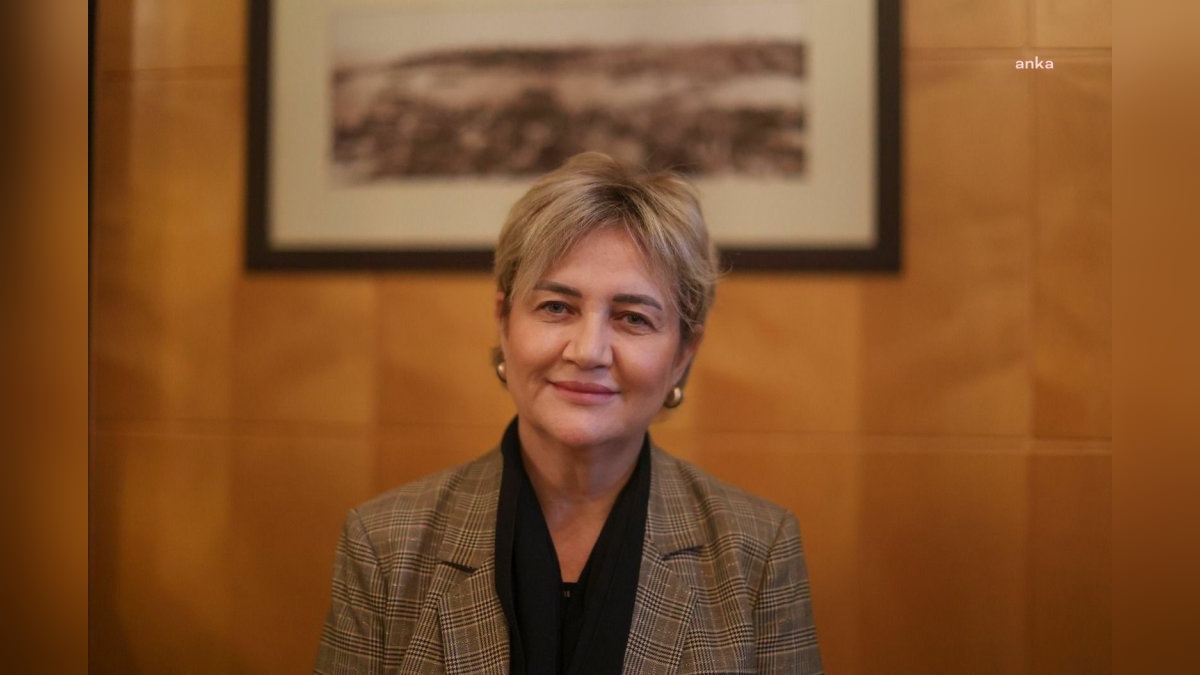 İpek Elif Atayman'ın tutukluluğu 100 günü geçti: 'Delilsiz suçtan tutukluyum'