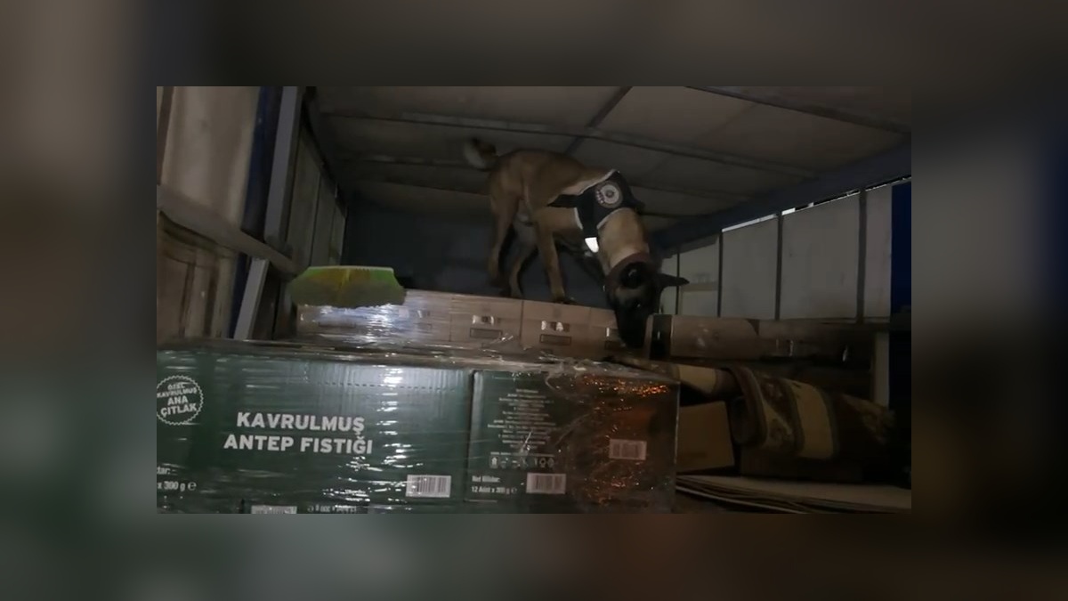 Dilovası'nda 9 kilo kokain yakalandı