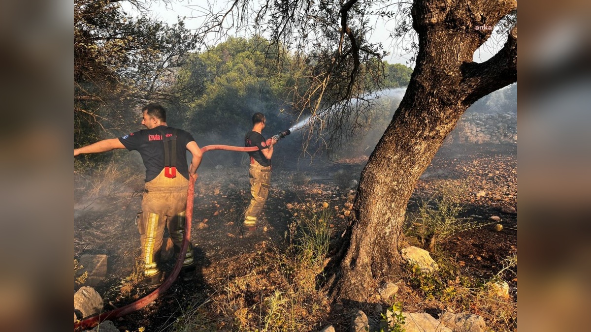 Çeşme'de yangın: Ildır, Germiyan ve Nohutalan mahallelerinde tahliyeler