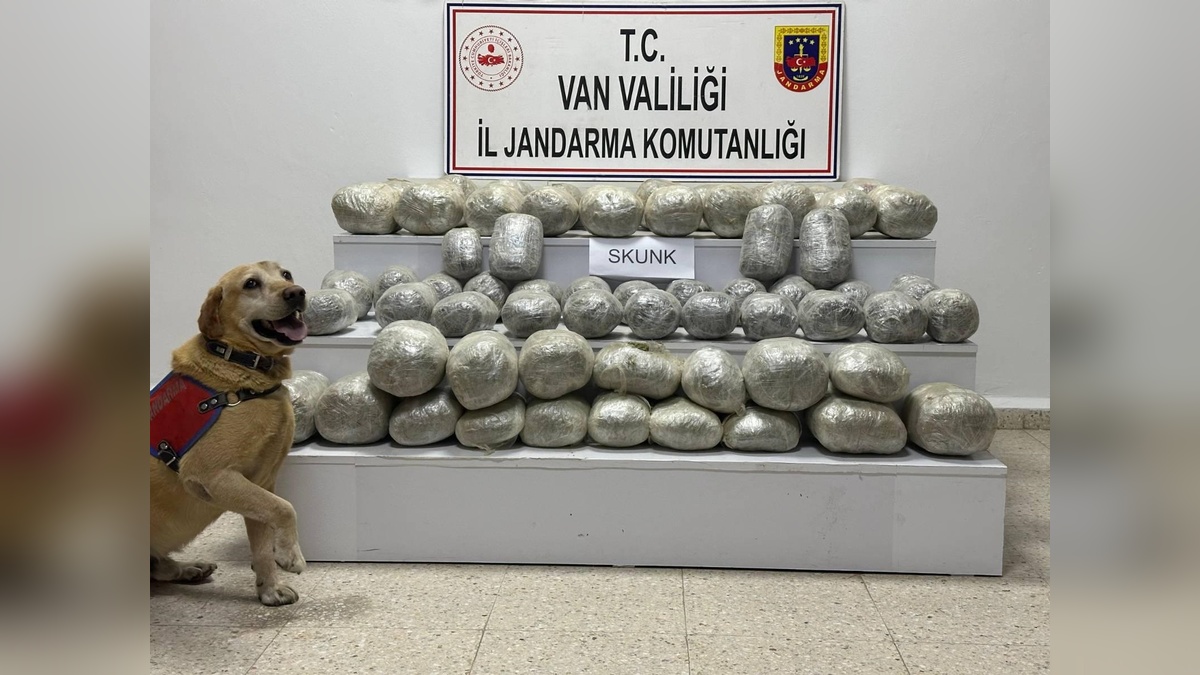 Başkale'de 97 kilo skunk ele geçirildi