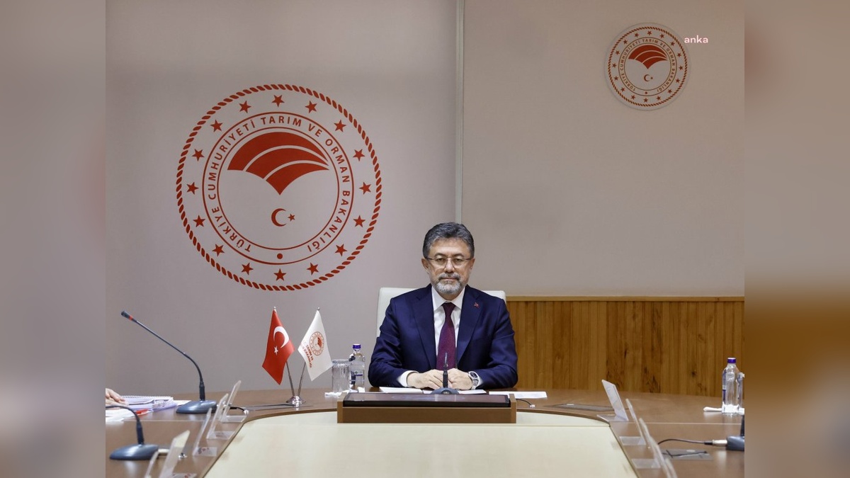 Orman yangınlarında kontrol sağlandı: İzmir, Bursa, Eskişehir ve diğer illerdeki yangınlar kontrol altına alındı
