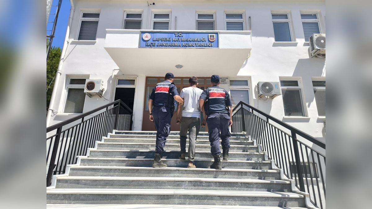 Lapseki'de orman yangını 5 saatte kontrol altına alındı