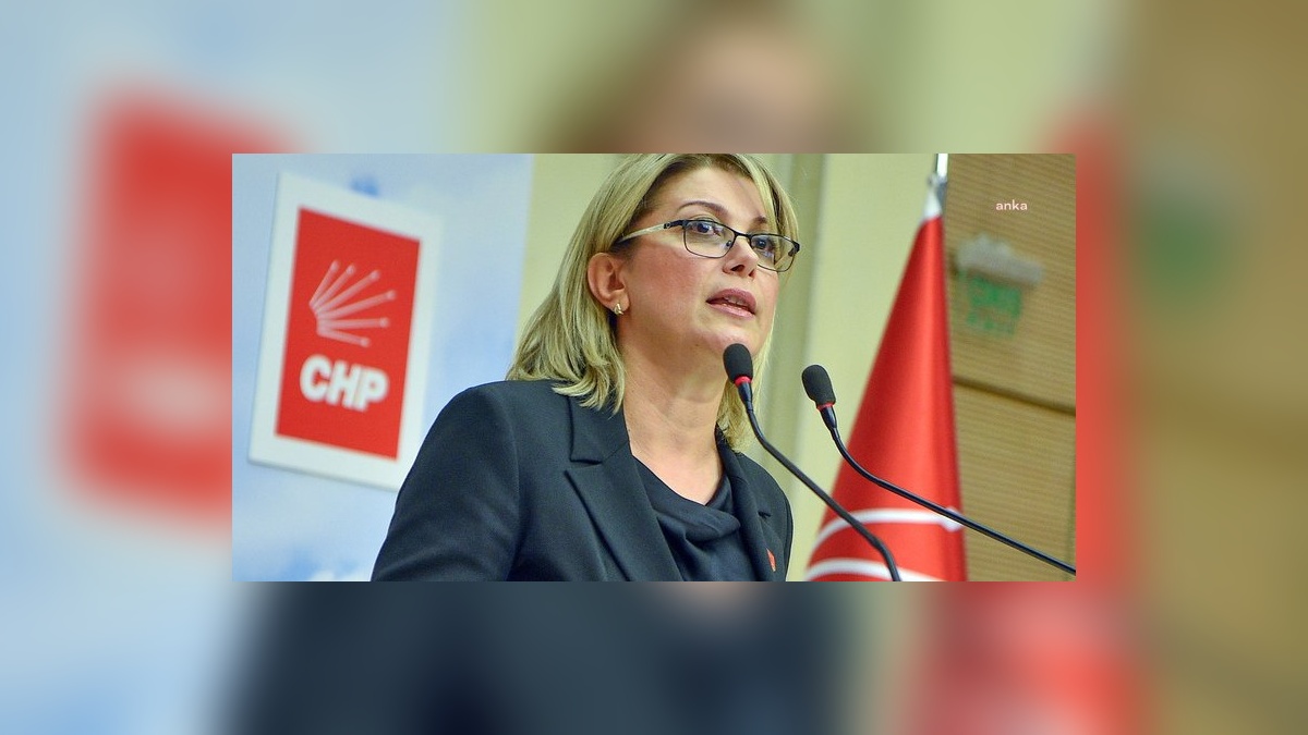Asu Kaya: Asıl darbe, sandık dışı yollarla iktidar koruma çabasıdır