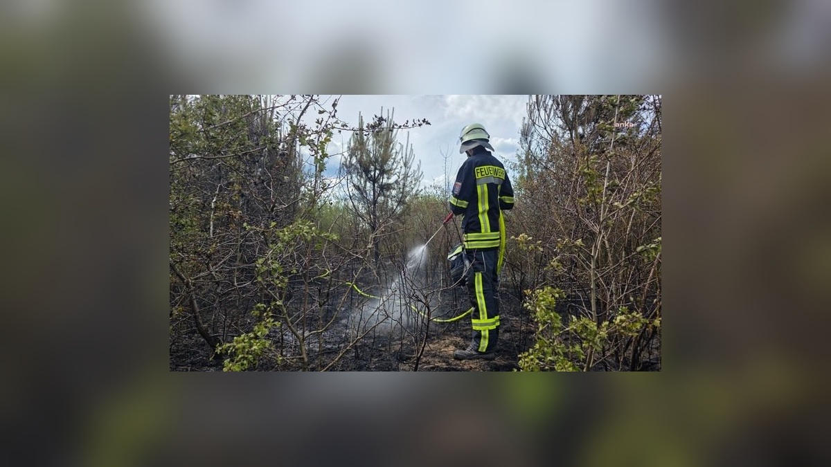 Celle'de büyük yangın: 120 bin metrekare kül oldu