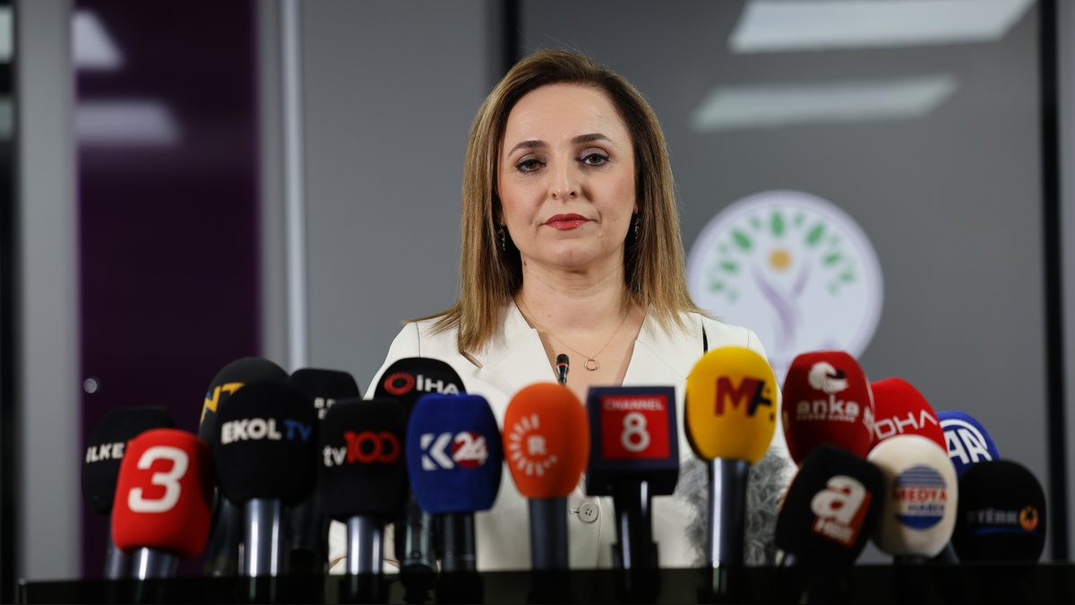 DEM Parti Sözcüsü Doğan: Silahların devre dışı kalması için ilk adım birkaç gün içinde