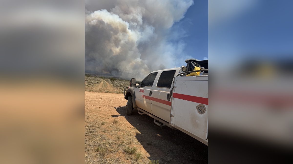 Arizona'da orman yangını 20 bin dönüme yayıldı