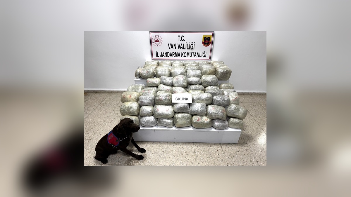 Başkale'de 70 kilo skunk ele geçirildi