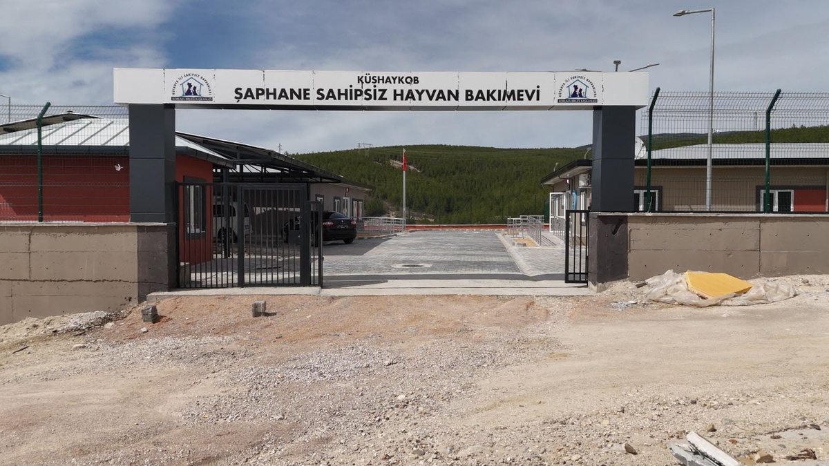 Kütahya'da sahipsiz hayvanlar için 4 doğal yaşam alanı hizmete giriyor