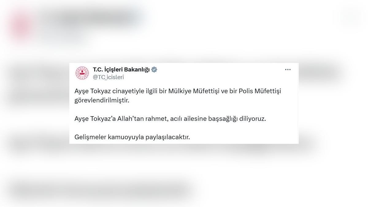 İçişleri Bakanlığı'ndan Ayşe Tokyaz cinayeti açıklaması: Müfettişler görevlendirildi