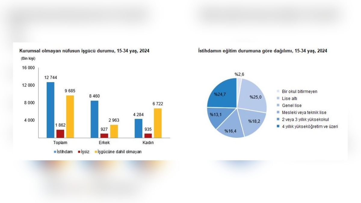 TÜİK: 2024'te 15-34 Yaş Grubunda İstihdam Oranı Yüzde 52,5