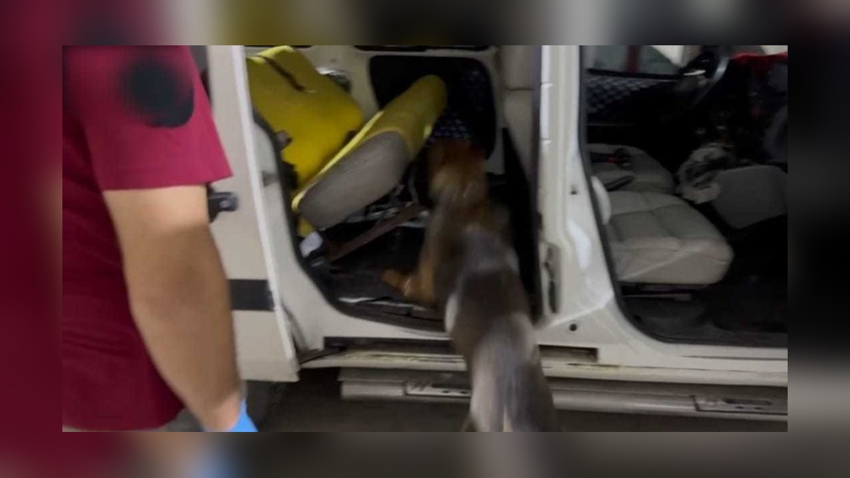 Batman'da 20 kilo esrar ele geçirildi