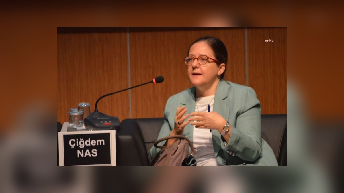 AB'den Türk Vatandaşlarına Çok Girişli Schengen Vizesi Kolaylığı: Sınırlı Ama Yapıcı Bir Gelişme