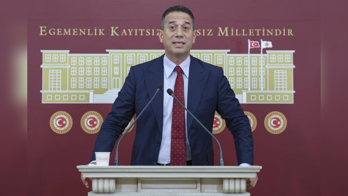 Başarır'dan zeytinliklere el koyma kararına tepki: '86 milyon haklarını helal etmeyecek'