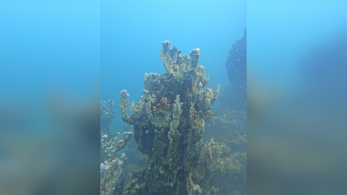 Van Gölü'nde 70 metrelik yatay mikrobiyalit keşfedildi