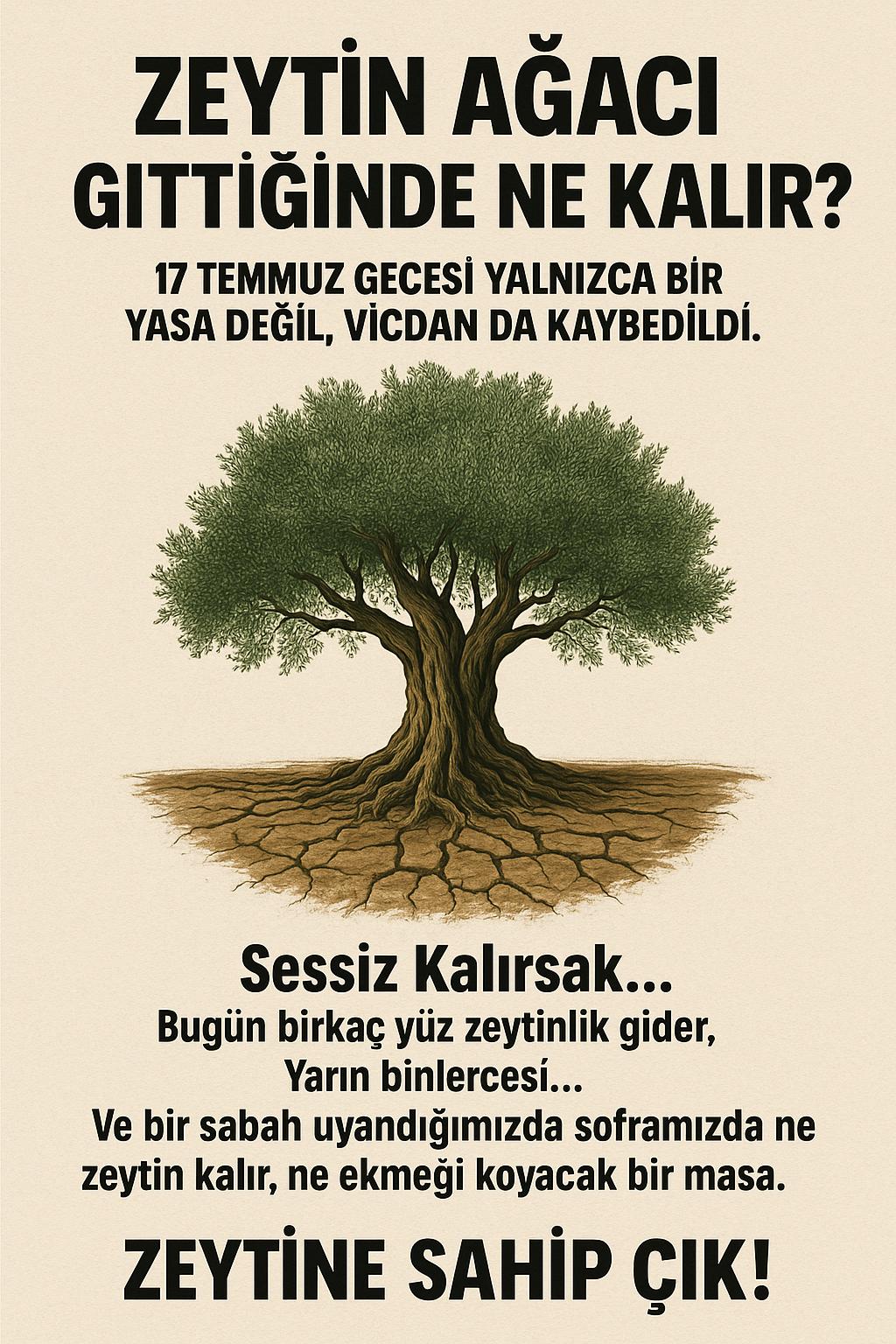 Zeytin Ağacı Gittiğinde Ne Kalır?