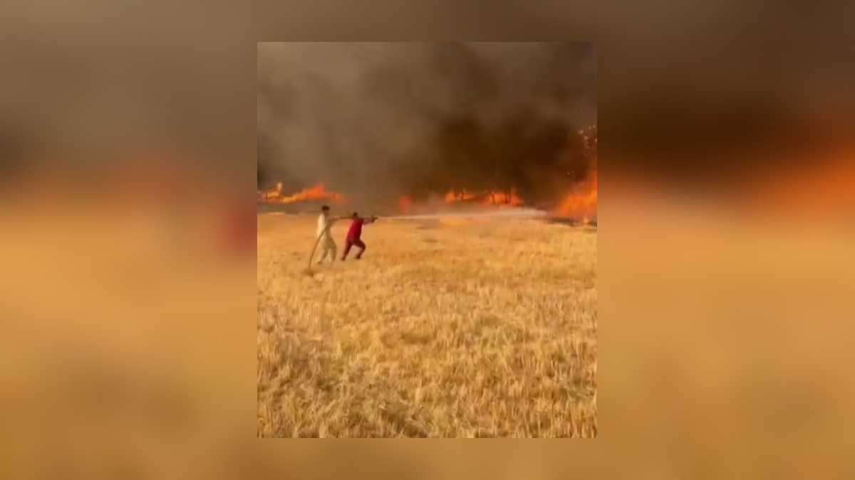 Sakarya'da alev hortumu: Orman Genel Müdürü Karacabey, yangınla mücadeleyi anlattı