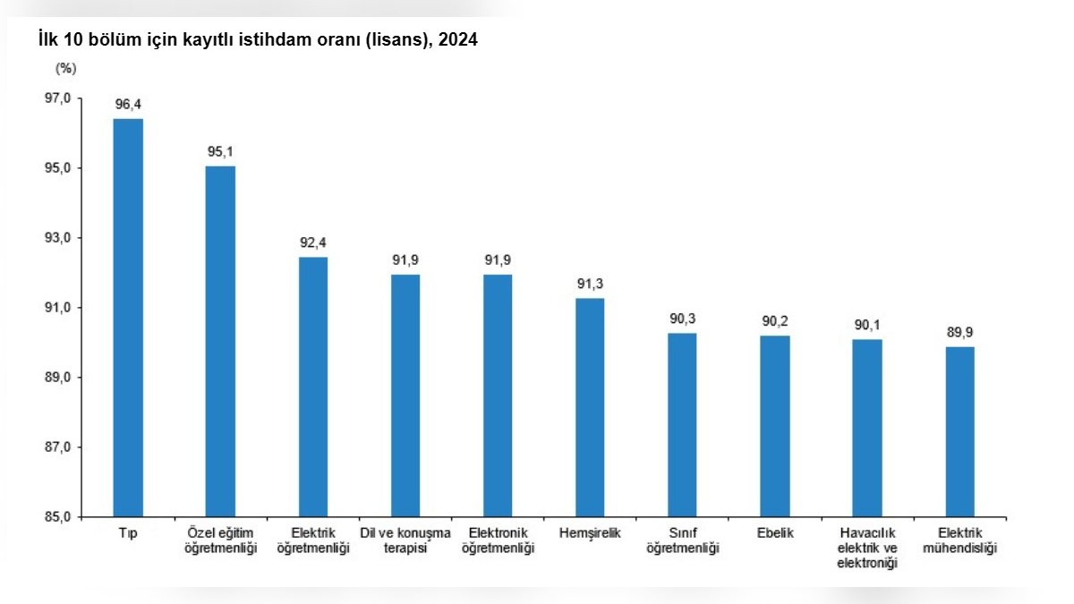 TÜİK: 2024 Yükseköğretim Mezunları İstihdam Raporu