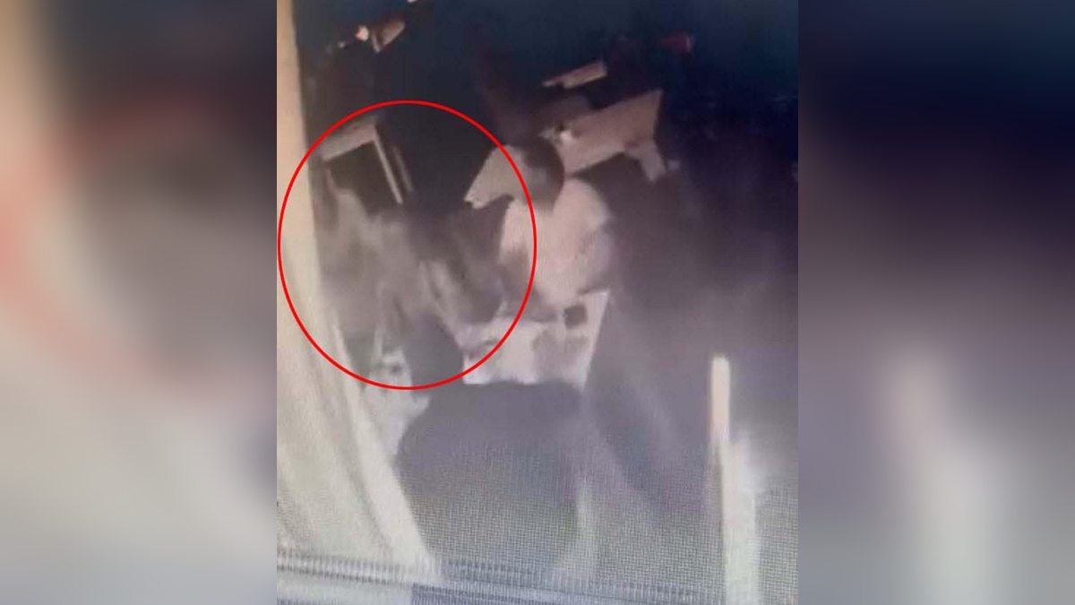Bodrum'da eski eşin bulunduğu mekanda tartışma: Başına masa vurulan kadın yaralandı