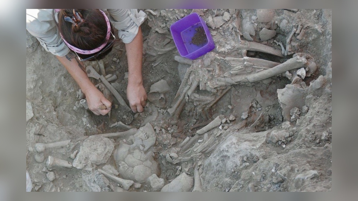 Gökçeada'da tarihi keşif: Uğurlu-Zeytinlik Höyüğü, Ege'nin ilk köy yerleşimi