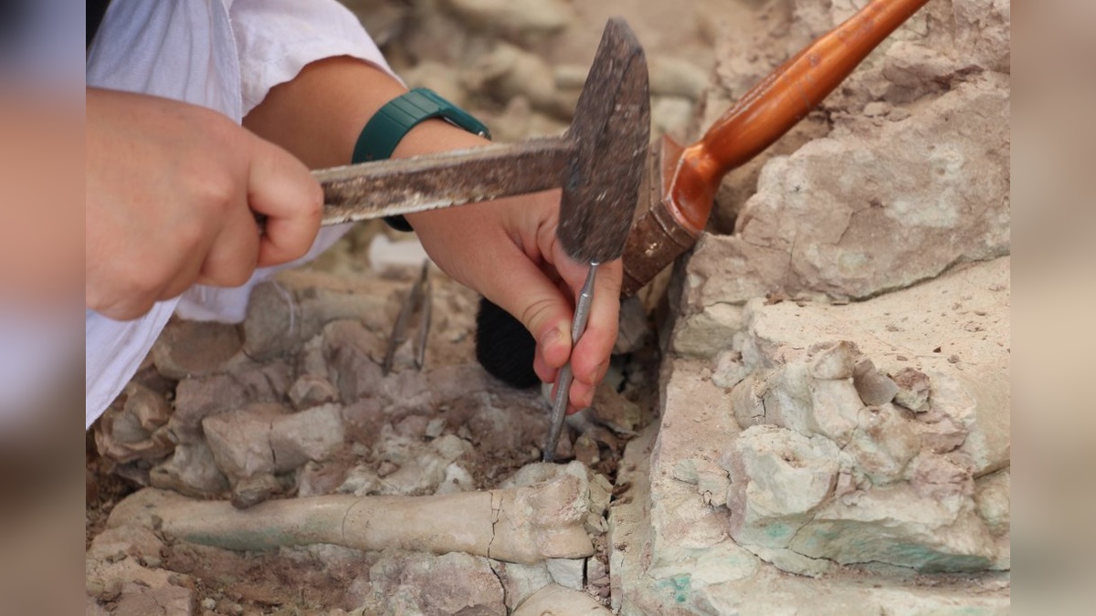 Çorakyerler'de kazılar başladı: 9 milyon yıllık fosiller araştırılıyor